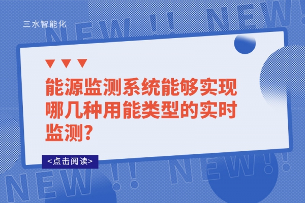 能源监测系统能够实现哪几种用能类型的实时监测?